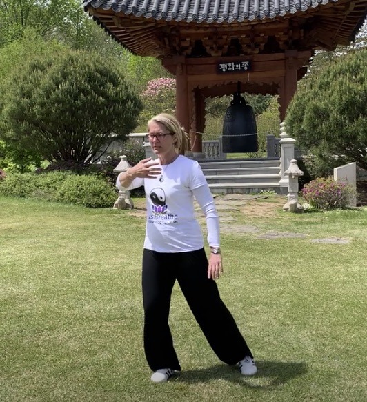 World Tai Chi and Qigong Day Fairfax Virginia Tai Chi classes and Qigong lessons